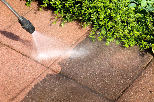 Best Exterior Home Cleaning  in Nooksack, WA